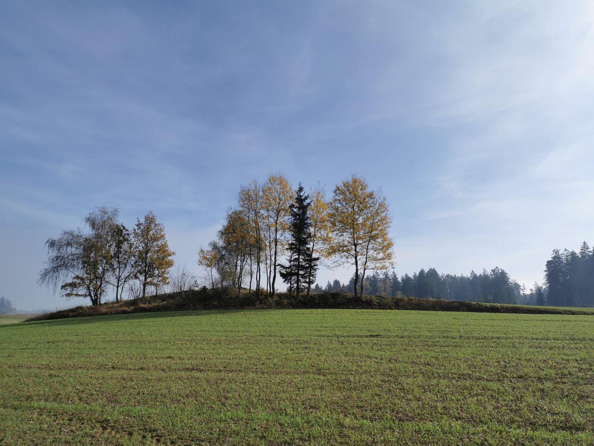 Kindererlebnis- Und Biobauernhof Hipp-Bruckner Wornharts Exterior foto